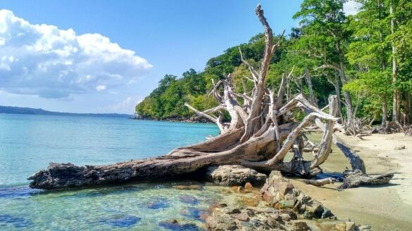 port blair 5 nights 6 days 4 Holiday Guide