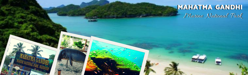 mahatma gandhi marine national park 1 Holiday Guide